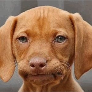 Meet your Posher, Jacob